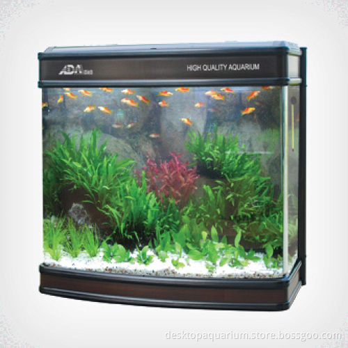 KS-aquarium